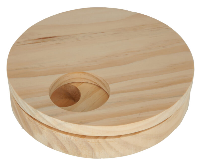 Thinking and Learning Toy Rotating Disc