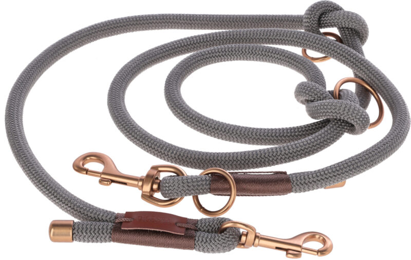 Training Leash Monte Carlo