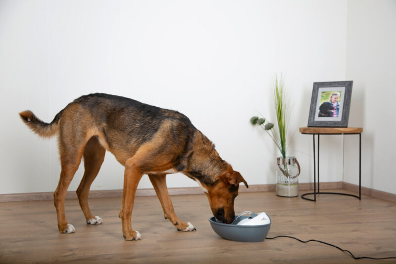 Trinkbrunnen Classic Pet Fountain