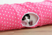 Tunnel pour chat Puntino