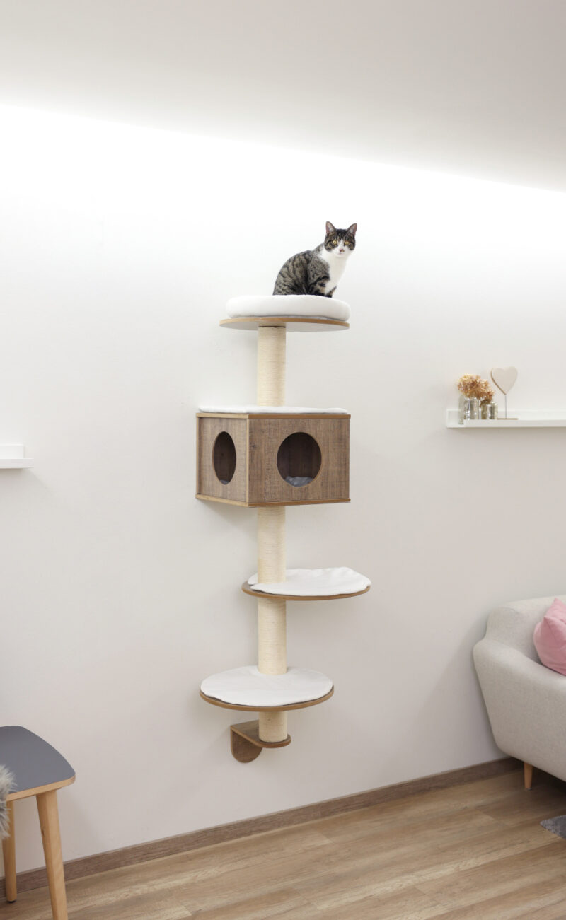 Wall-Mounted Cat Tree Dinari