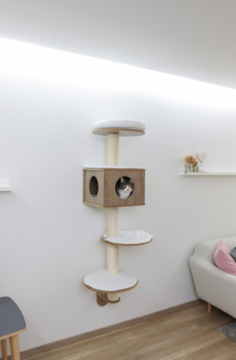 Wall-Mounted Cat Tree Dinari