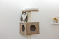 Wall-Mounted Cat Tree Dinari