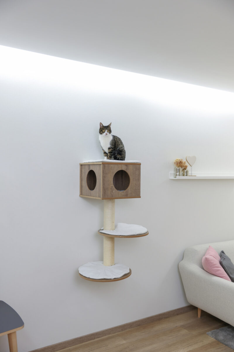 Wall-Mounted Cat Tree Dinari Light