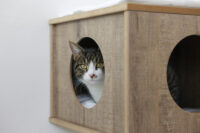 Wall-Mounted Cat Tree Dinari Light