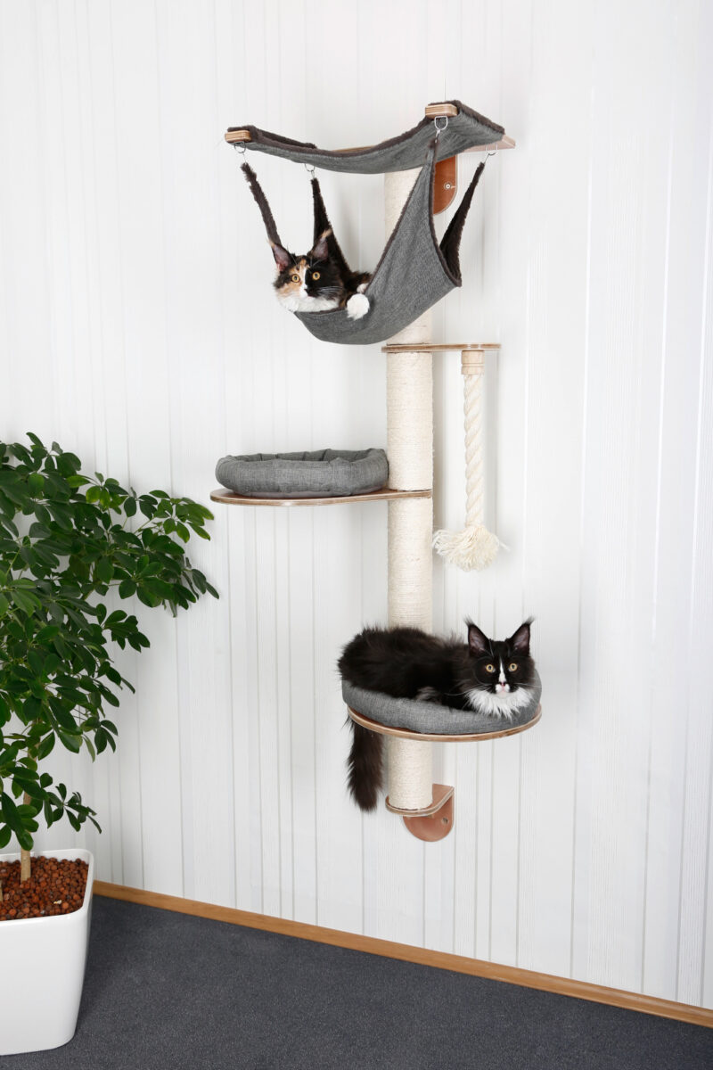 Wall-Mounted Cat Tree Dolomit 2.0 Tofana