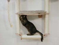 Wall-Mounted Cat Tree Dolomit Grappa Pro