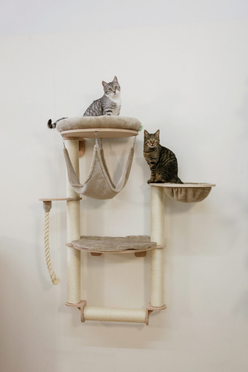 Wall-Mounted Cat Tree Dolomit Grappa Pro