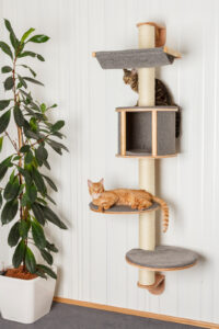 Wall-Mounted Cat Tree Dolomit Tofana