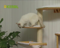 Wall-Mounted Cat Tree Dolomit XL