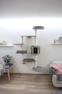 Wall-Mounted Cat Tree Dolomit XL Tofana