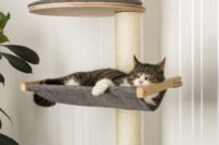 Wall-Mounted Cat Tree Dolomit XL Tofana