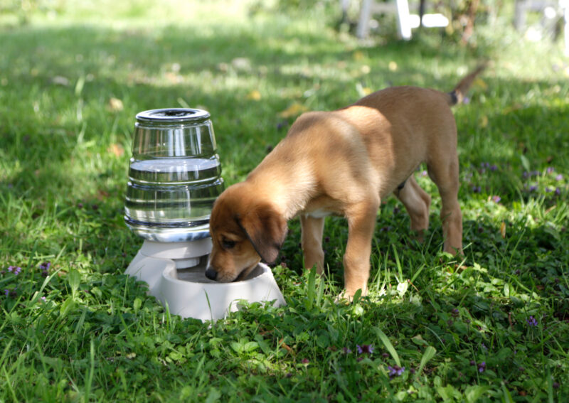 Wasserspender Nuvola