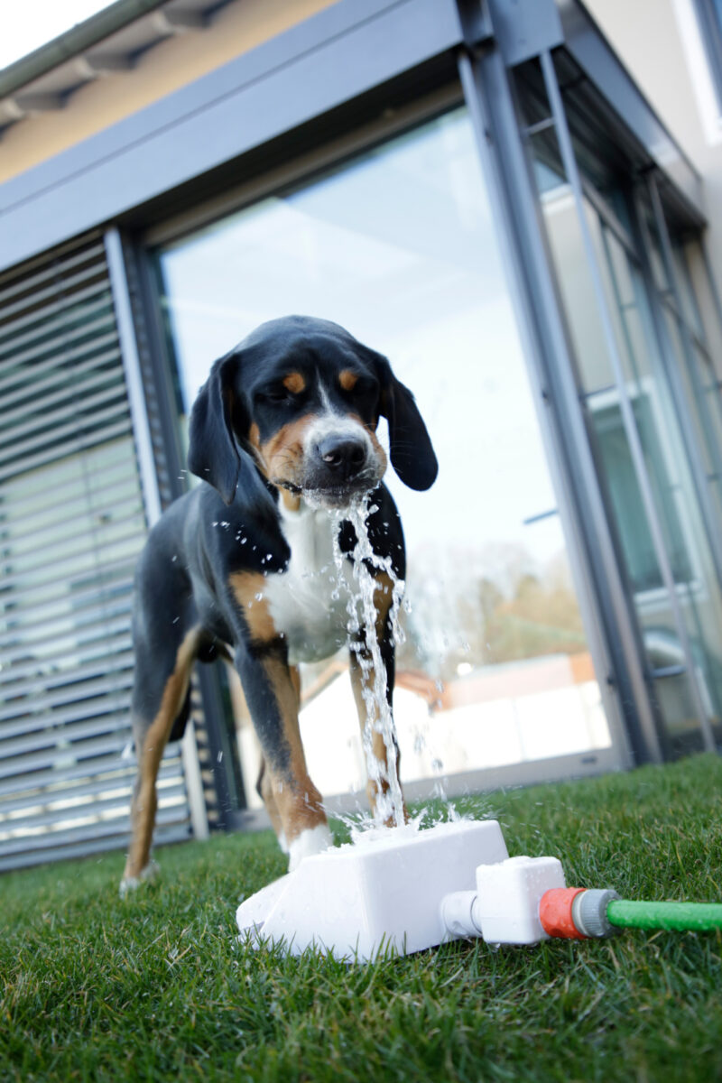 Water Fountain Bubble