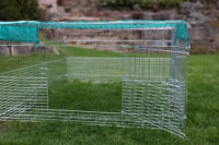 Young Animal Outdoor Pen with Breakout Barrier