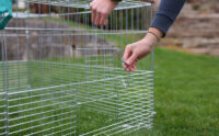 Young Animal Outdoor Pen with Breakout Barrier