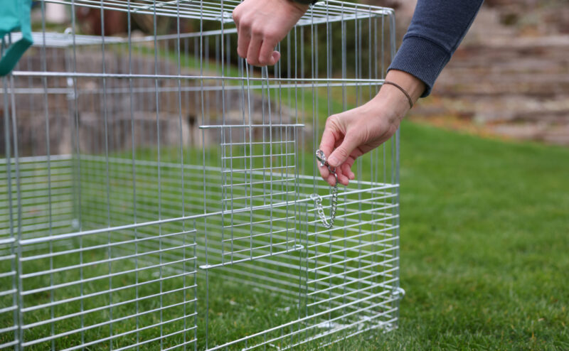 Young Animal Outdoor Pen with Breakout Barrier