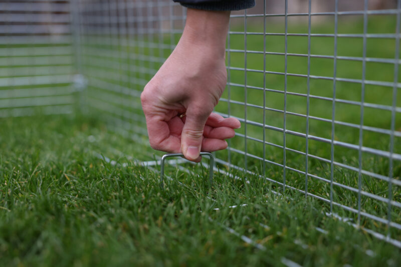 Young Animal Outdoor Pen with Breakout Barrier