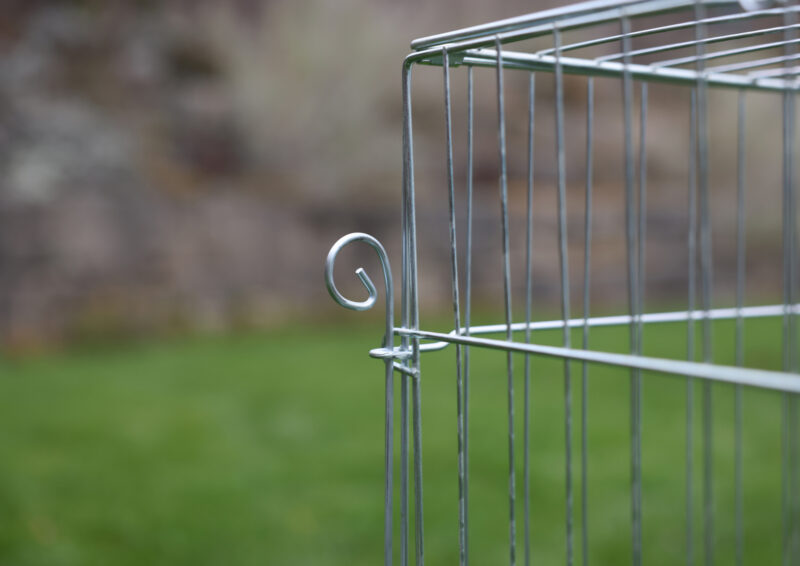 Young Animal Outdoor Pen with Breakout Barrier