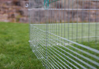 Young Animal Outdoor Pen with Breakout Barrier