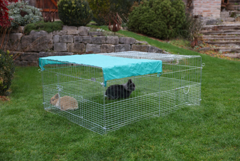 Young Animal Outdoor Pen with Breakout Barrier