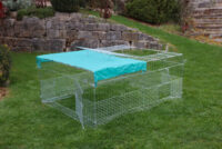 Young Animal Outdoor Pen with Breakout Barrier