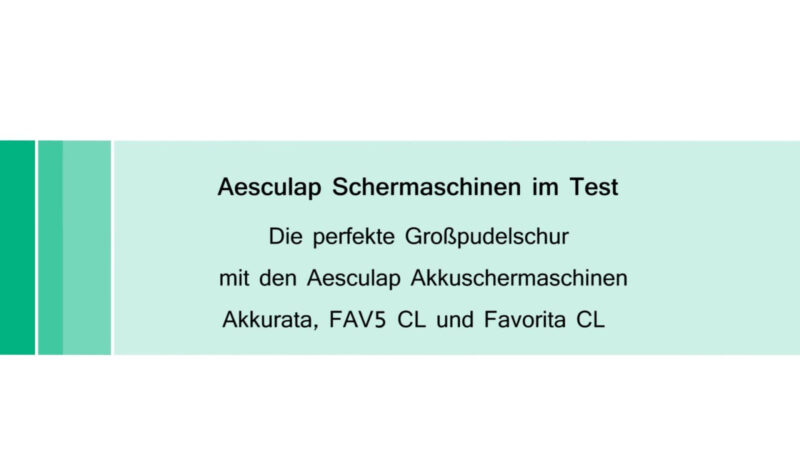 Aesculap Akkuschermaschine Akkurata