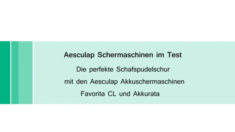 Aesculap Akkuschermaschine Akkurata