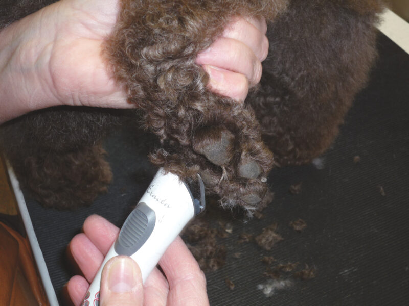 Aesculap Battery-operated Trimmer Exacta