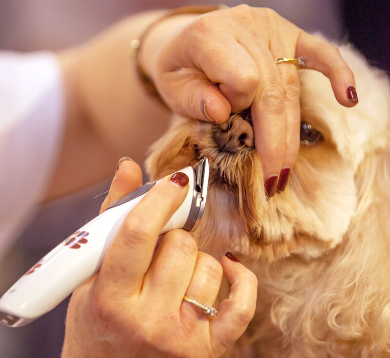 Aesculap Battery-operated Trimmer Exacta