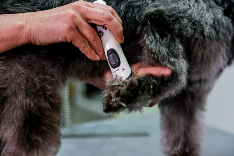 Aesculap Battery-operated Trimmer Exacta