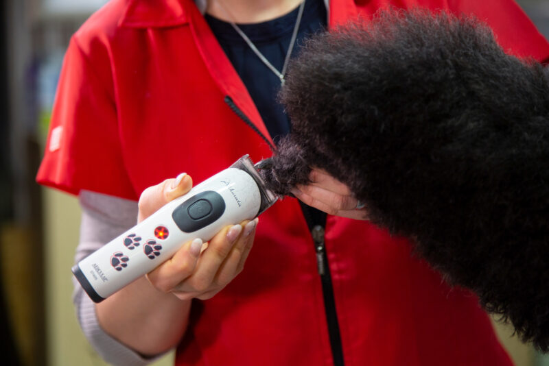 Aesculap Cordless Clipper Akkurata