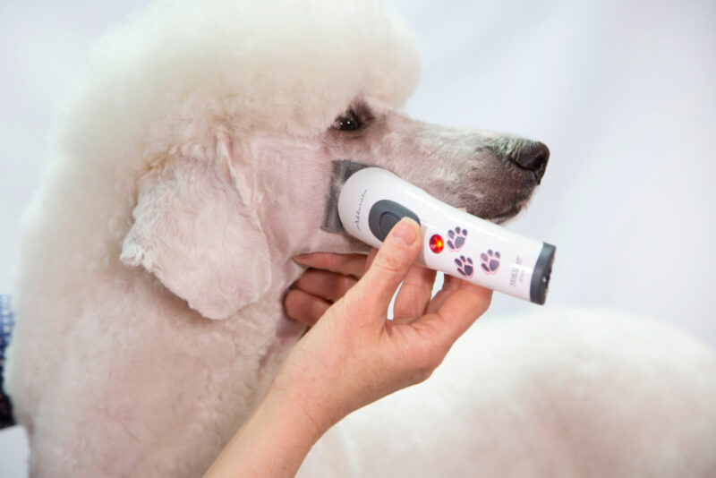 Aesculap Cordless Clipper Akkurata