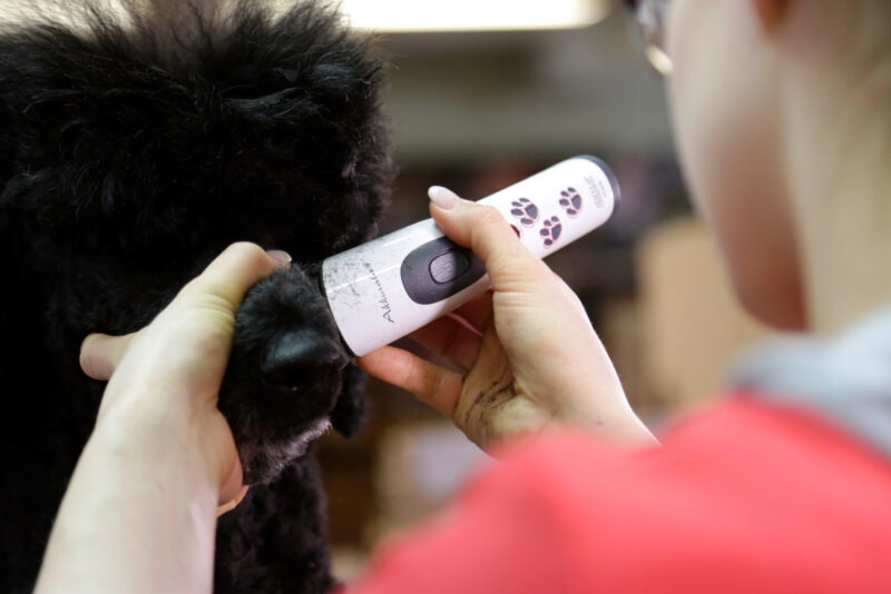 Aesculap Cordless Clipper Akkurata