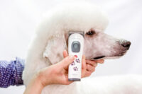 Aesculap Cordless Clipper Akkurata