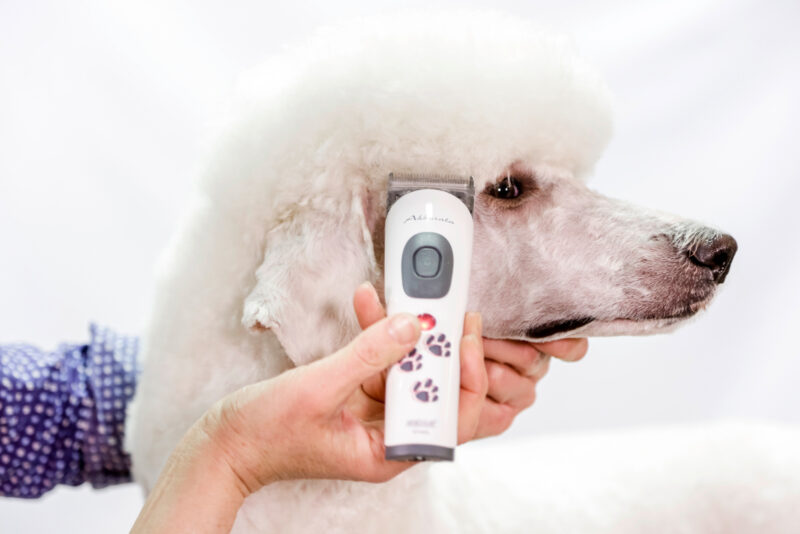 Aesculap Cordless Clipper Akkurata