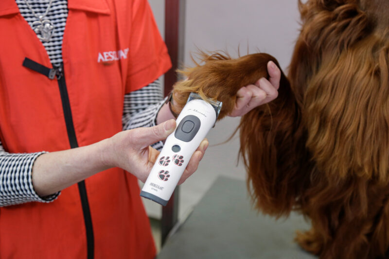 Aesculap Cordless Clipper Akkurata