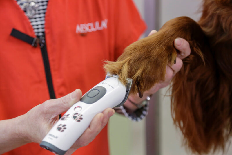 Aesculap Cordless Clipper Akkurata