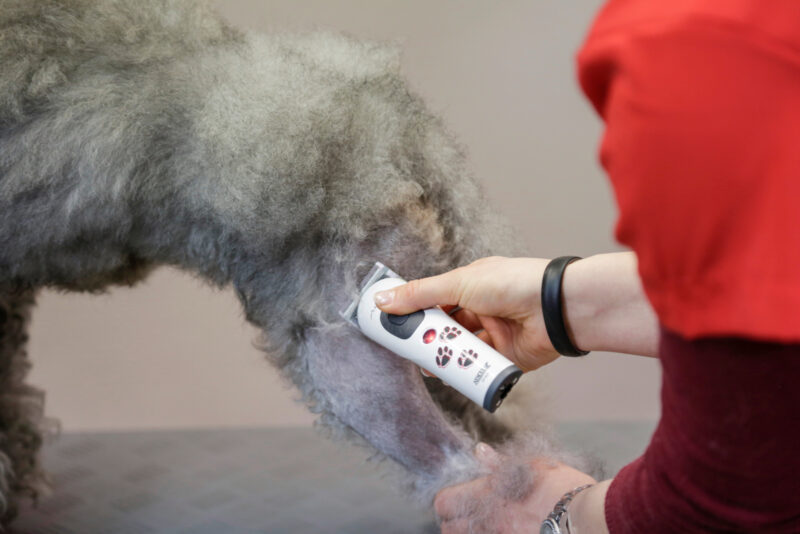 Aesculap Cordless Clipper Akkurata