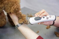 Aesculap Cordless Clipper Akkurata