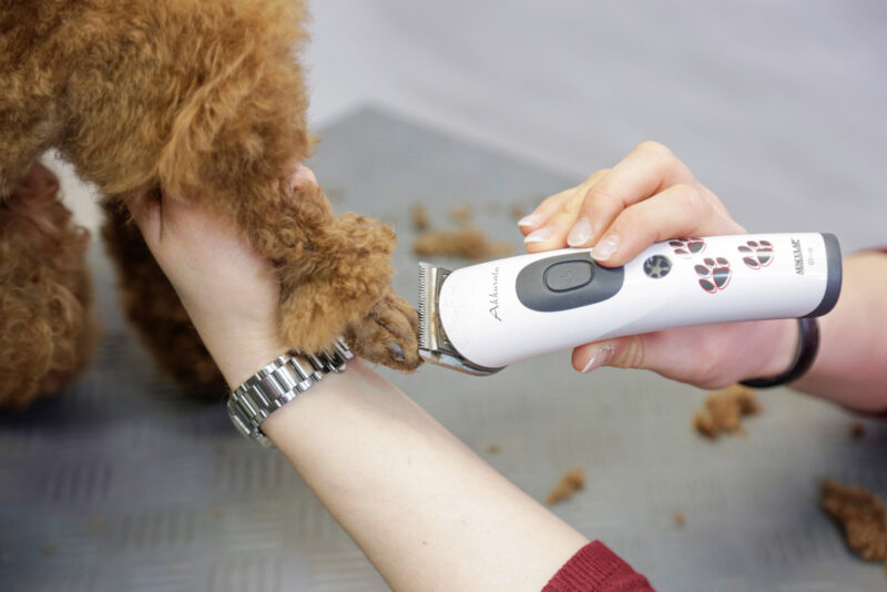 Aesculap Cordless Clipper Akkurata