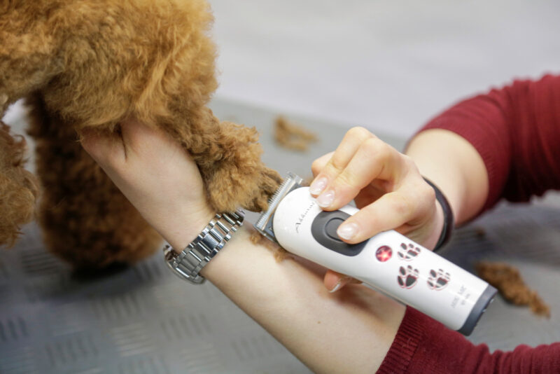 Aesculap Cordless Clipper Akkurata
