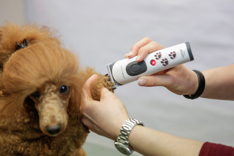 Aesculap Cordless Clipper Akkurata
