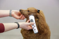 Aesculap Cordless Clipper Akkurata