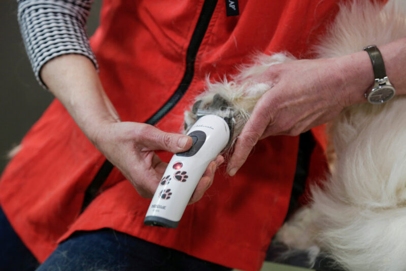 Aesculap Cordless Clipper Akkurata