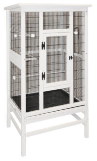 Aviary