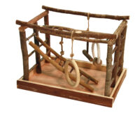 Bird Play Area