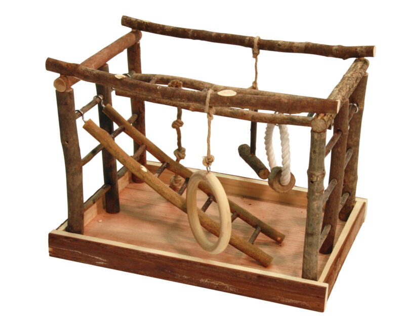 Bird Play Area