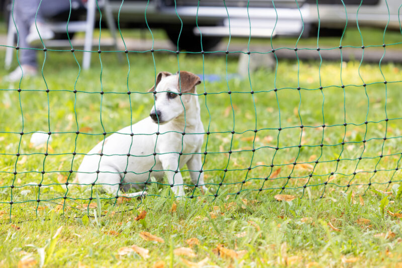Boundary Fence Camping Net