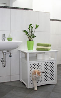 Cat Cabinet Helena